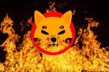 22.5 Billion Shiba Inu Burned by the New Portal in a Week