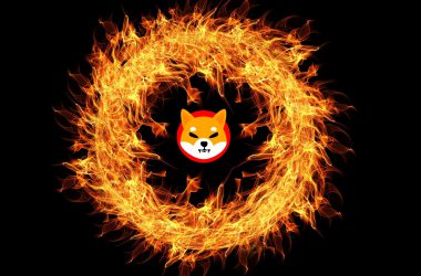 Shiba Inu