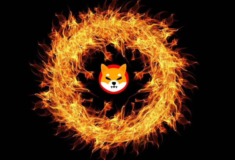 Shiba Inu
