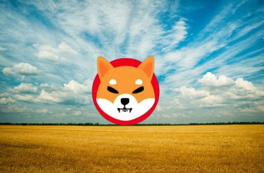 Shiba Inu Lands