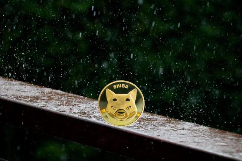 Top Middle Eastern Crypto Exchange Rain Has Listed Shiba Inu