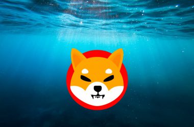 Shiba Inu