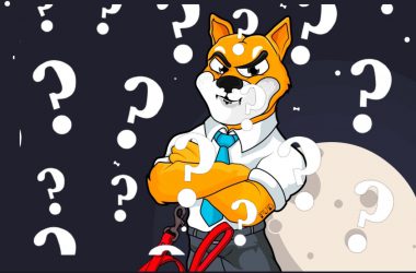 Who Is the Mystery Shiba Inu Metaverse Developer? SHIB Holders Might Be In for a Shock