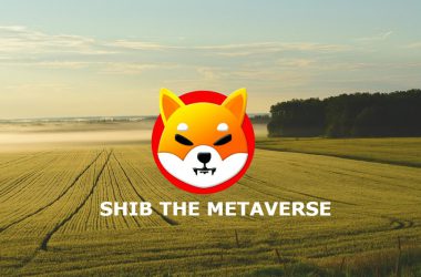 Shiba Inu SHIB The Metaverse