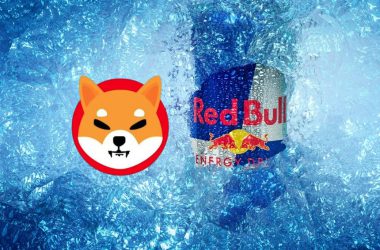 Shiba Inu Red Bull