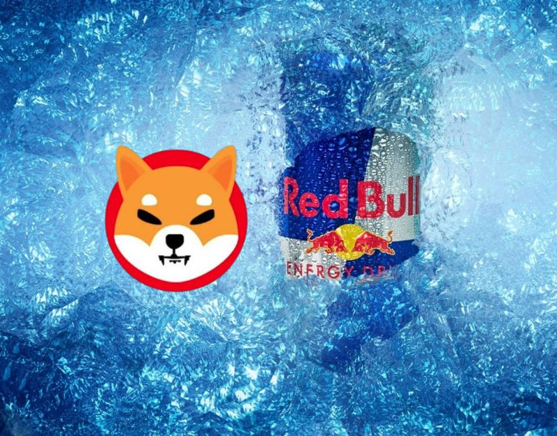Shiba Inu Red Bull