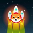 Shiba Inu Rocket