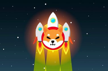 Shiba Inu Rocket