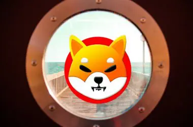 shiba inu