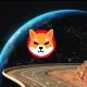 Shiba Inu World