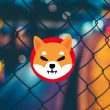 Shiba Inu