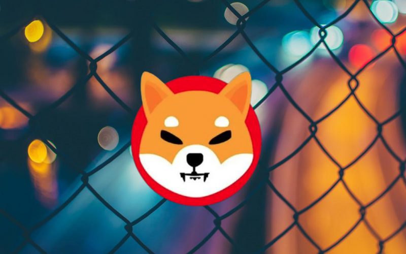 Shiba Inu