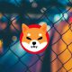 Shiba Inu