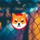 Shiba Inu