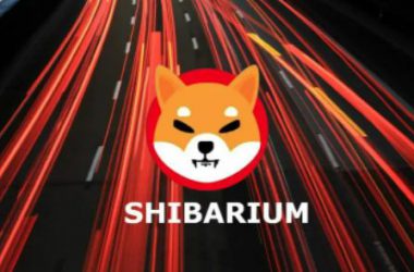 shiba inu shibarium