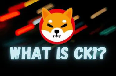 what is ck1 shiba inu