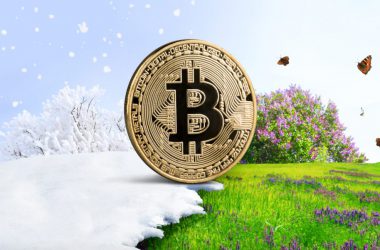 Investor Interest Seems Unaffected Amidst Crypto Winter, Says BoA