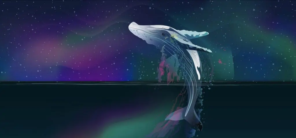 Solana’s Lending Platform Solend Votes to Temporarily Control the Whale Account