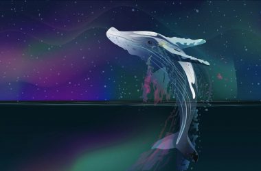 Solana’s Lending Platform Solend Votes to Temporarily Control the Whale Account