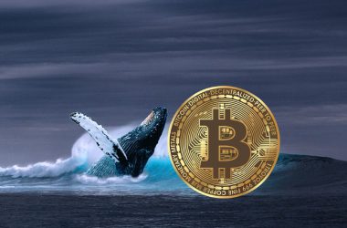 Bitcoinj BTC Whale