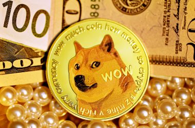 Dogecoin Co-founder Says That Every Binance Smart Chain Token Is “Garbage”