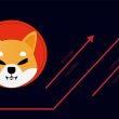 Shiba Inu Gains Double Digits in 24 Hours Amidst the Prolonged Bear Market