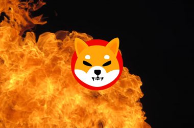 Shiba Inu