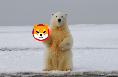 Shiba Inu