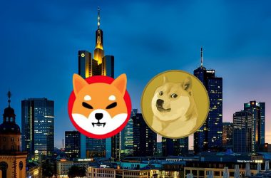 shiba inu dogecoin