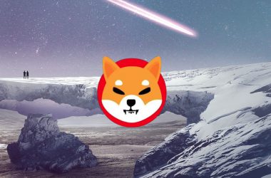 Shiba Inu Dream