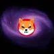 Shiba Inu