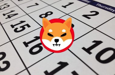 shiba inu holders 1 year wallet calendar