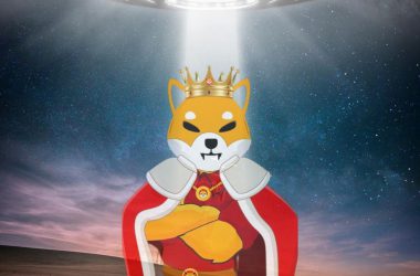 Shiba Inu real true leader