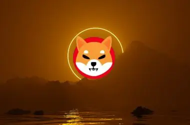 Shiba Inu