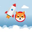 shiba inu rocket