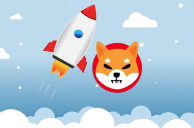 shiba inu rocket