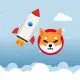 shiba inu rocket