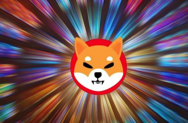 Shiba Inu