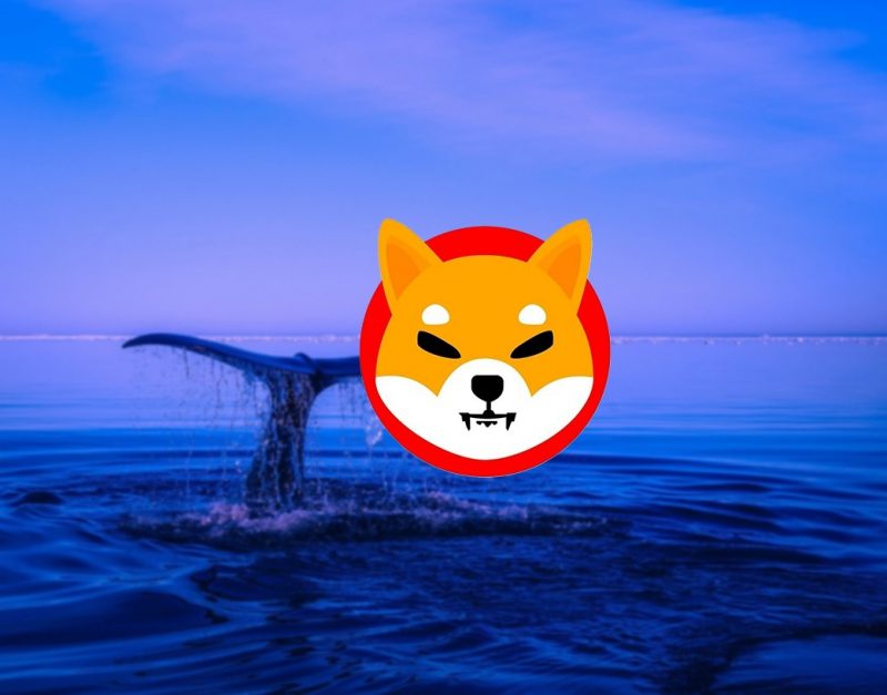 Shiba Inu’s Increased Usage Pumps Active Whale Addresses by 44%