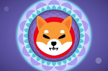 shiba ini