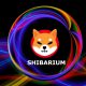 shibarium shiba inu
