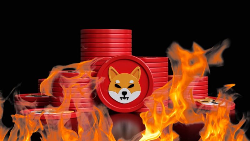 Here’s How Much Shiba Inu Was Burned Halfway Through 2022