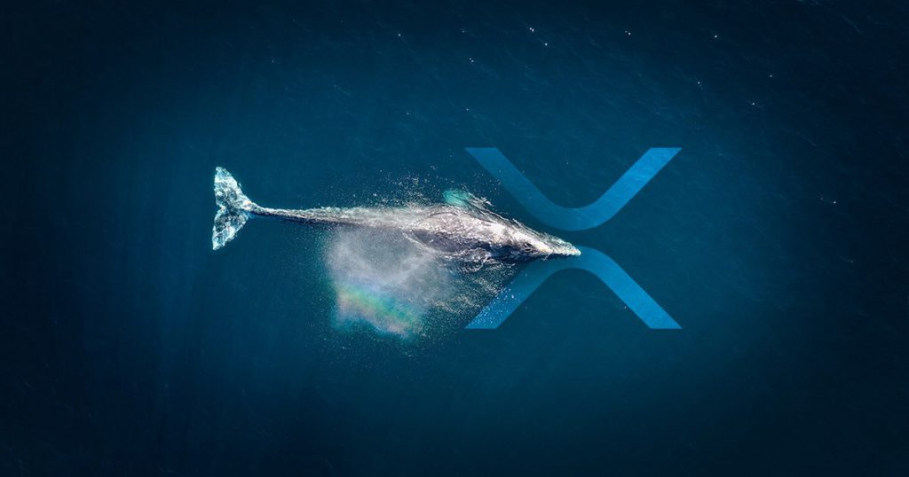 XRP Whale Transfers 20 Trillion SHIB, the Largest Shiba Inu Transaction in History