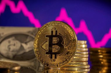 Bitcoin's Fundamentals Seem To Be Stable Despite the Signs of a Recession
