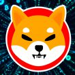 A Berlin-Based Financial Firm Is Now Rewarding Users in Shiba Inu: Read More