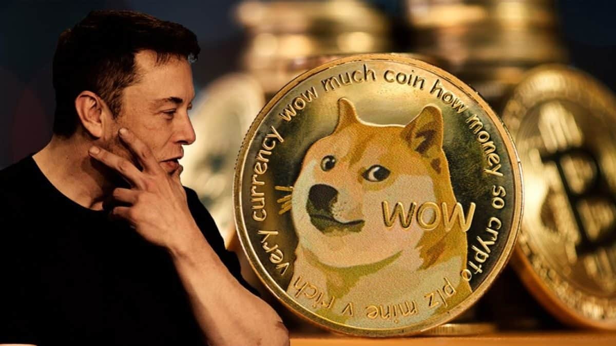 Elon Musk disputes Dogecoin creator claim he can't run Python code