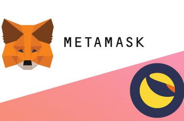 Here’s How You Can Add the Terra (LUNA) Network to Your MetaMask Wallet