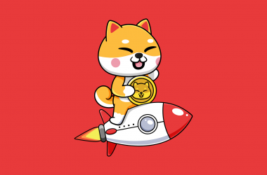 Shiba Inu Bags Multiple Exchange Listings, Teases Its New SB Visa Card