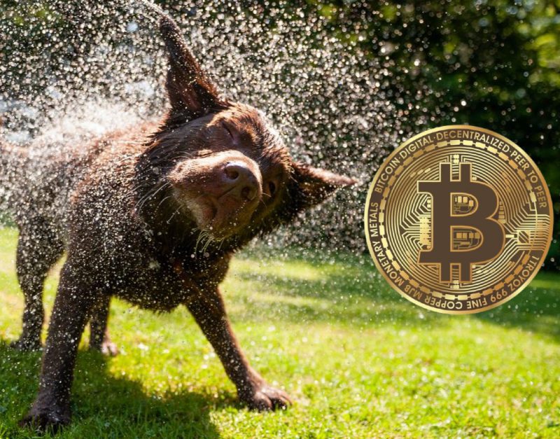 bitcoin btc crypto market shed gains