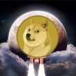 dogecoin to the moon rocket